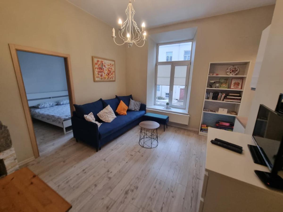 Igo Apartment Uzupis Βίλνιους Εξωτερικό φωτογραφία